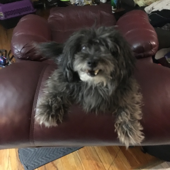 Meet your Posher, Joseph - Picture 1 of 1